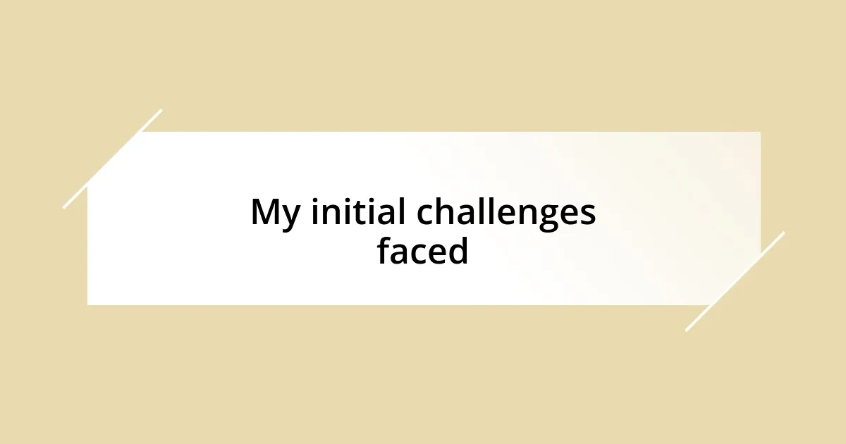 My initial challenges faced